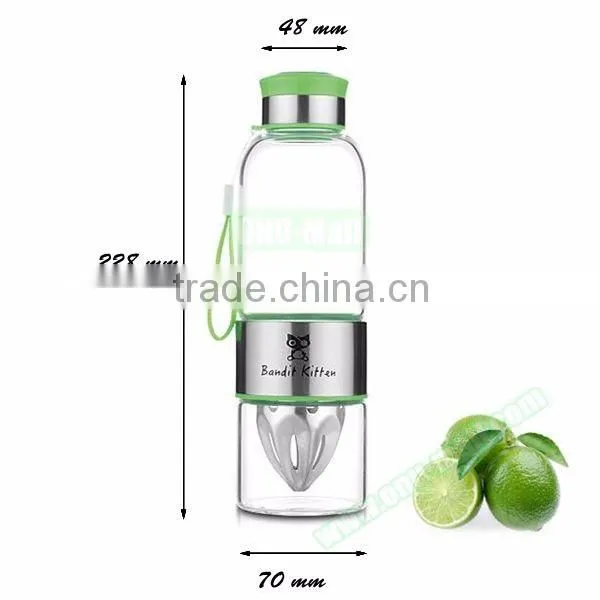 Wholesale 500ml Glass Fruit Infuser Water Bottle, Lemon Water Bottle Infuser