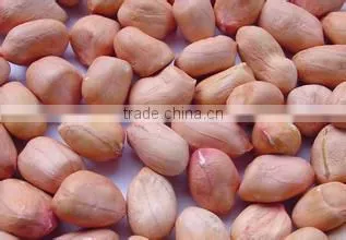 Best Selling sunflower cold screw oil press machine6YL-100