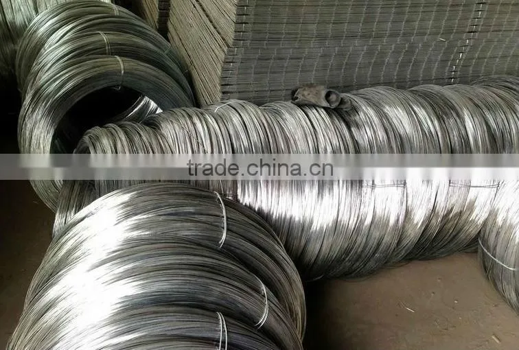 Galvanized Welded Wire Mesh Panel