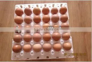 high quality 30 plastic injection egg tray