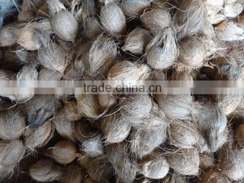 Fresh Frozen Coconuts