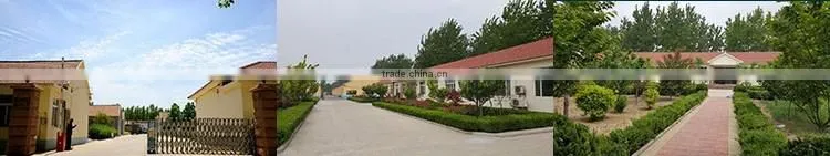 china weifang manufacturer wholesale cheap viscose printed fabric for lady dress