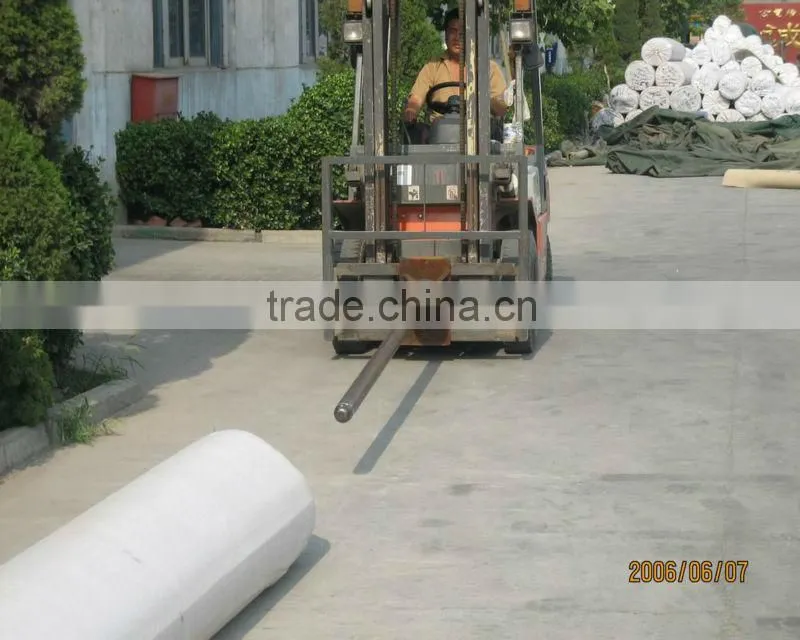 carpet in roll