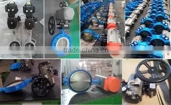 Wafer Check Control Valve