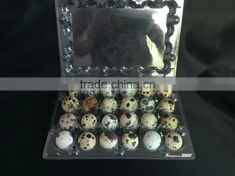 PVC plastics Plastics food containers Egg packing box for quail 12 eggs quail egg tray