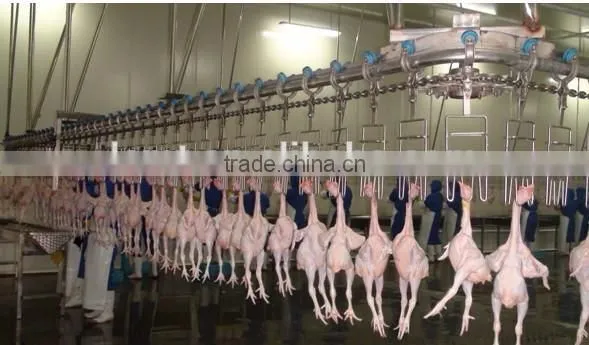 high quality poultry slaughter machines for slaughtering
