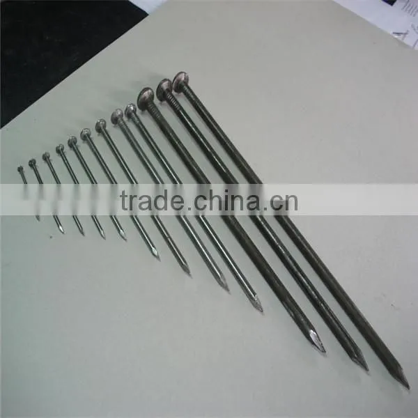 common nail / common wire nail / common iron nail