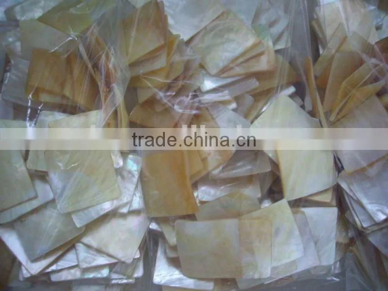 polished gold mop shell slice