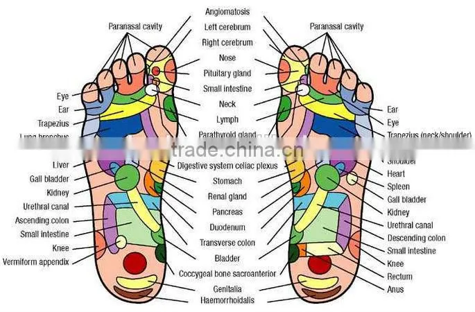 2016 newest abs Electric foot massager/body massager