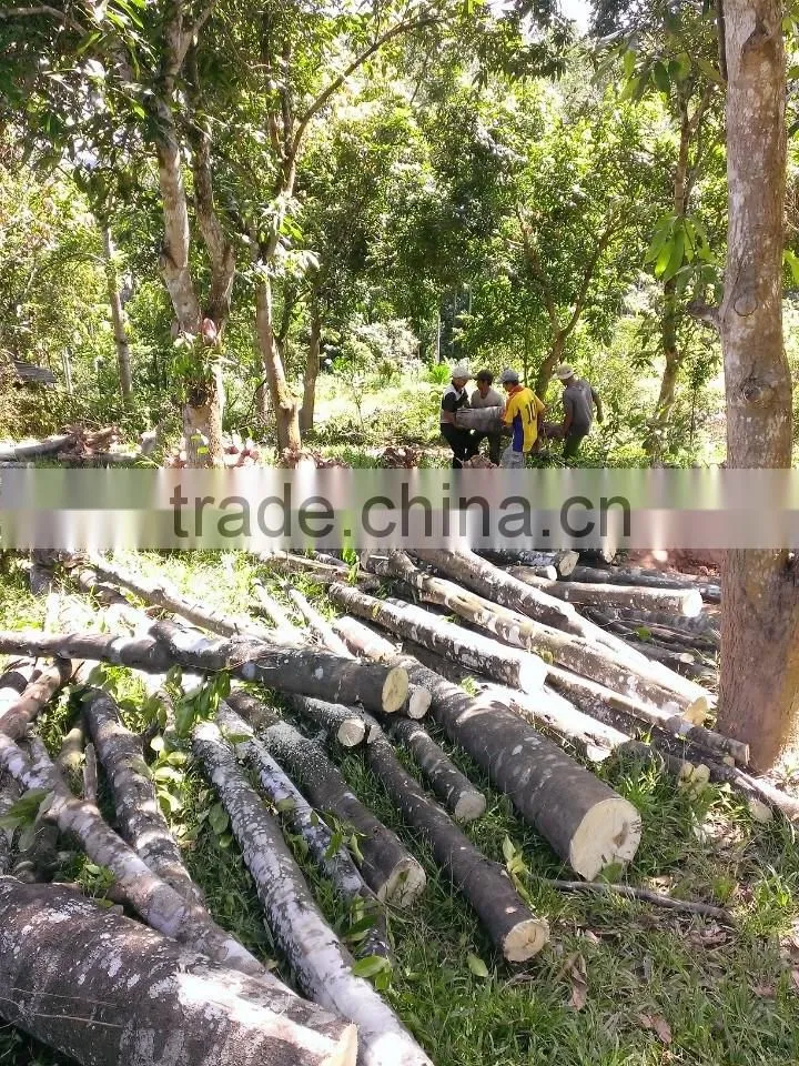 100% Nature from Agarwood Powder / Oud Powder - Nhang Thien JSC