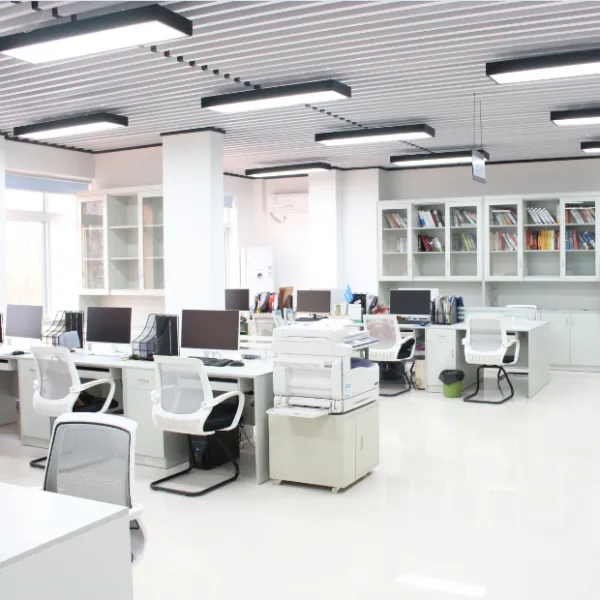 Chongqing Yiyiruoshui Technology Co., Ltd. company overview - view 3