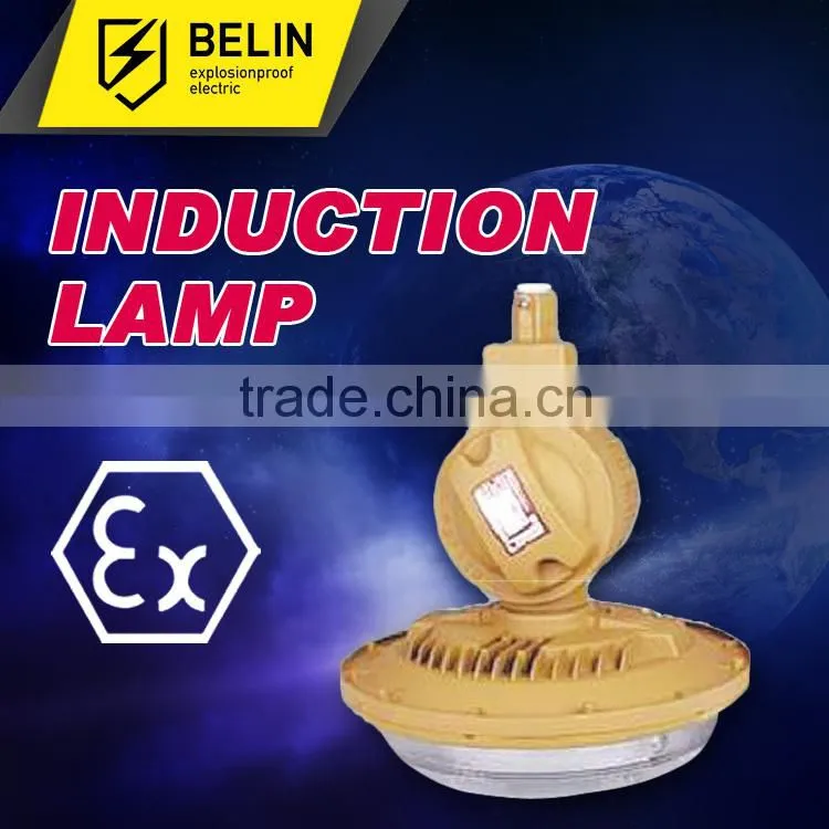 Maintence free energy saving explosion proof light