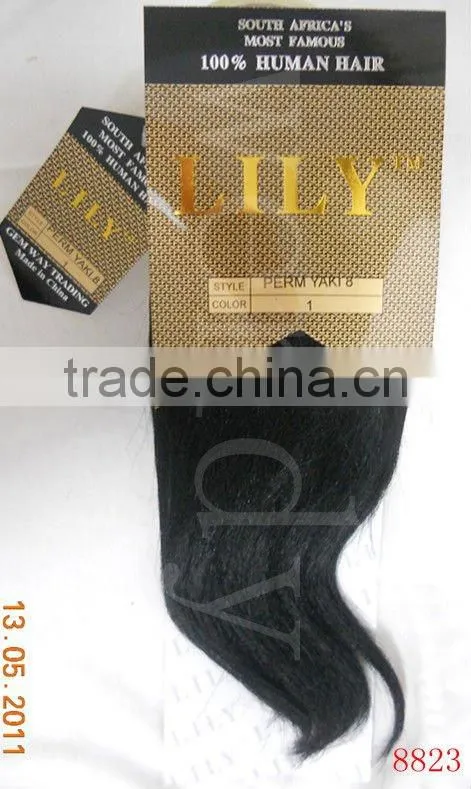 Body wave hair Clip extension