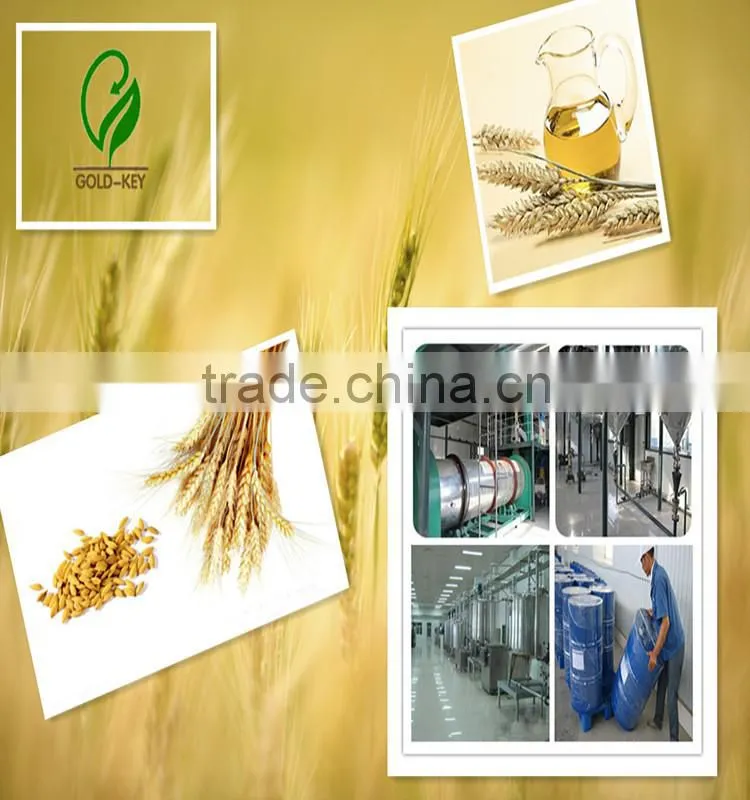 wheat germ oil for best carrier oil