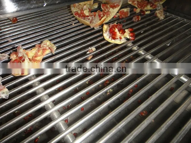 Pomegranate arils processing machine