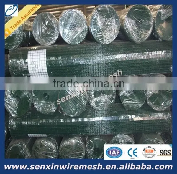 china anping factory india market popular 12.7mmX12.7mmX3FTX10M 6kg/8kg pvc coated welded wire