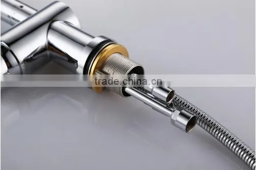 China Retractable Pull Out Spout Any direction Faucet Kitchen Spray