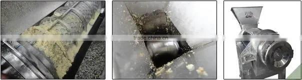 spiral Juicer for fruit&vegetables/ commercial apple juicer/ fruit & vegetable juicer