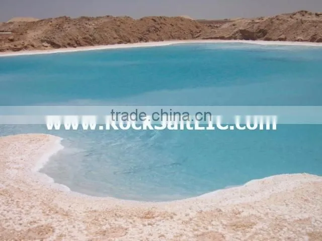 Road Salt for melting snow ready to USA 98-99% NaCl with low moisture