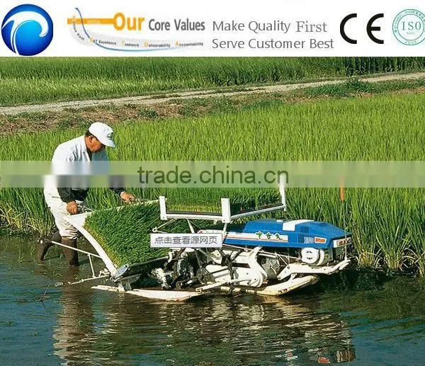 big promotion and popular selling rice transplanter price
