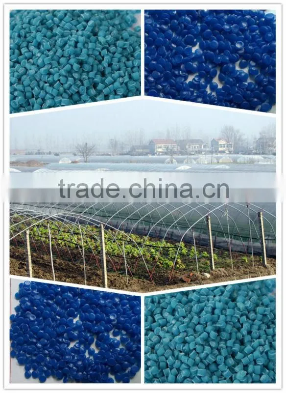 greenhouse film