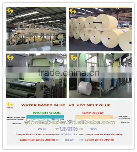 2016 new product release paper for stickers in jumbo reel