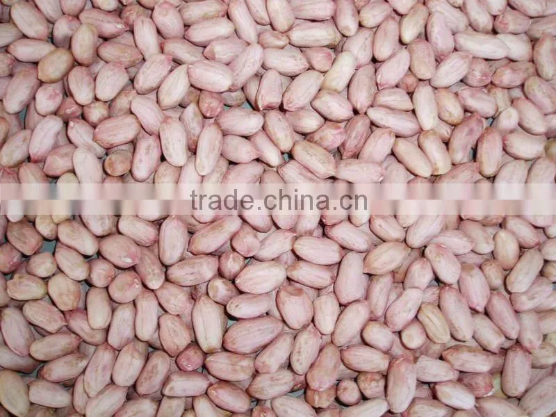 shandong 2012 crop peanut