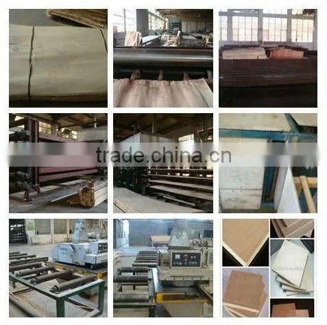 black/brown film faced plywood 12,15,18mm from Shandong China