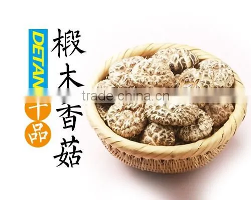 Factory Direct Sale Export Mushroom Price Dried Shitake