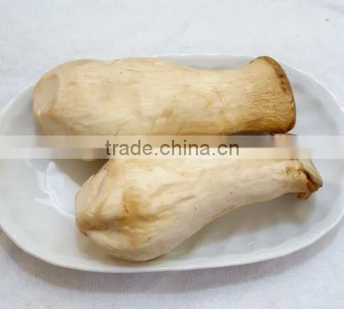 Grade A Dry Boletus Edulis Slice Dry Wild Mushroom