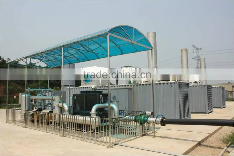 500KW/1MW New Energy Waste Biomass Power Plant/Biogas Generation Project