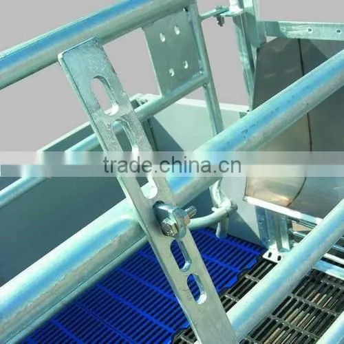 Pig Equipment Hot Galvanzied Factory Supply Farrowing To Finish