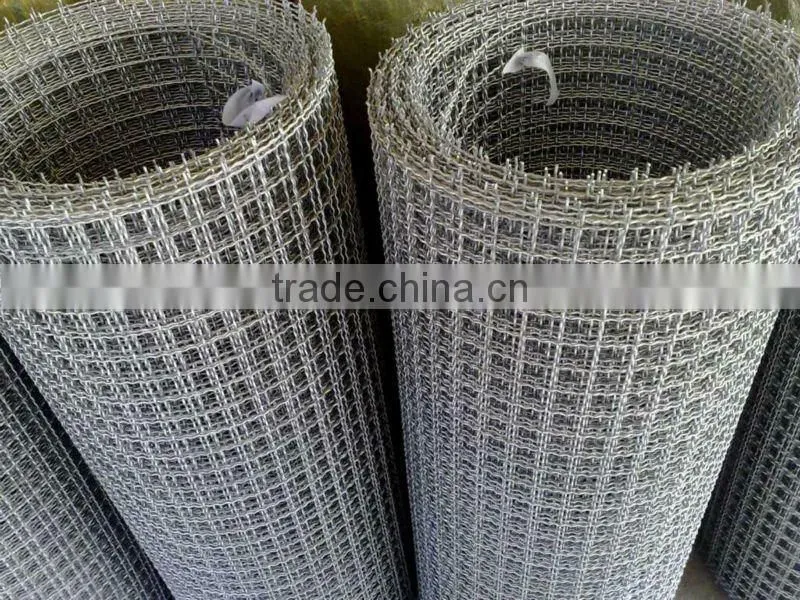 galvanized crimped mesh