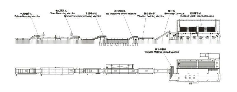 Gold supplier frozen french fries machinery