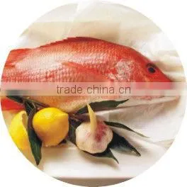 Quick freezing machine for seafood fish fillet spiral fridge freezer