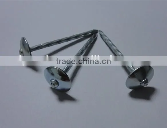 Hot-selling polished common nails / roofing nails / flat head nails
