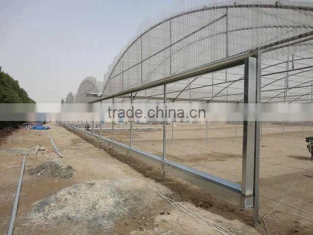 Multispan Greenhouse (Polycarbonate Valuview ROMA)