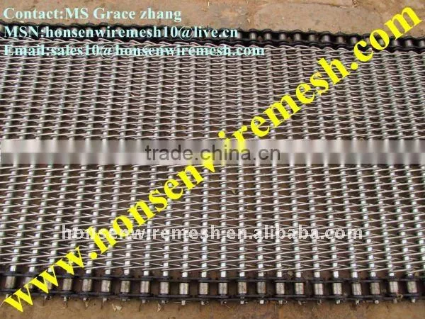 High Quality Conveyer belt mesh ( 15 years factory)