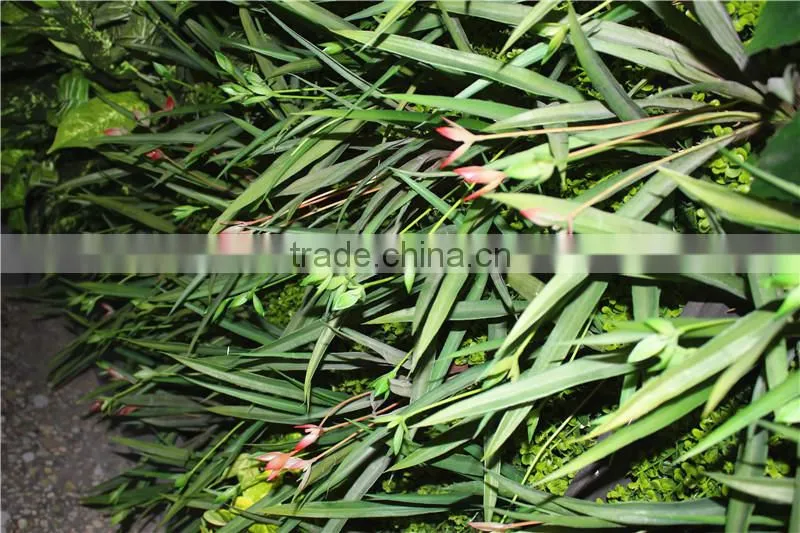 stickers home garden deco 200*200 cm indoor or outdoor artificial corner succulent green climbing plant wall Ezwq10 102