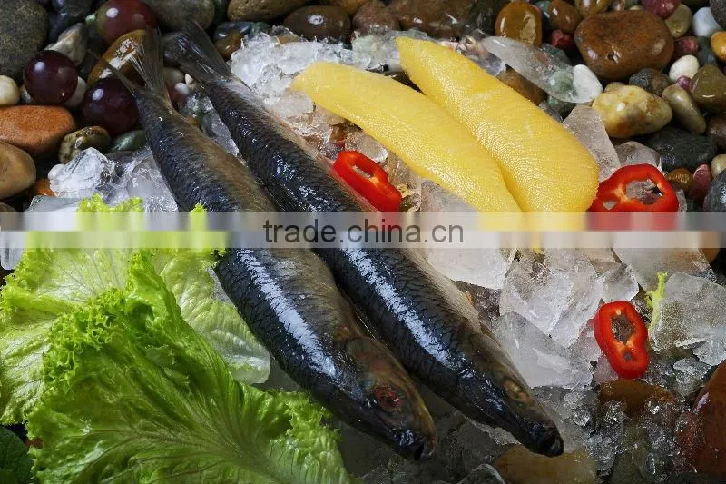 Herring frozen fillet