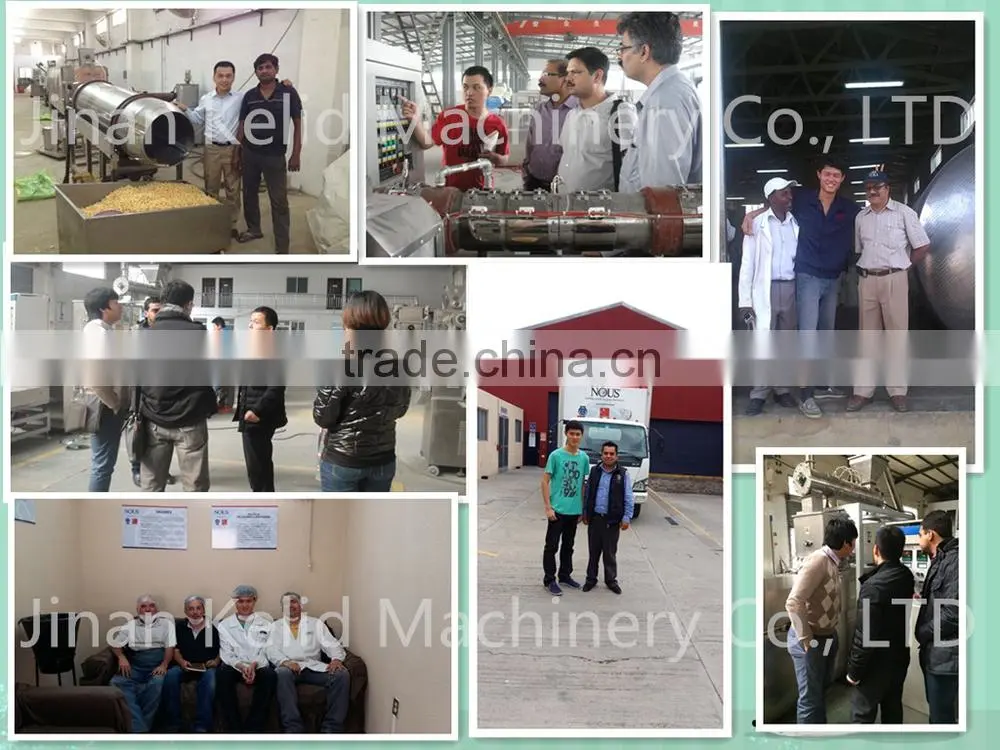 2015 Hot sale new condition Fried snack extruder machine