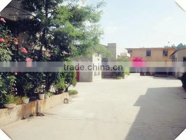 2016 Hot selling medical telescope made in China binoculars