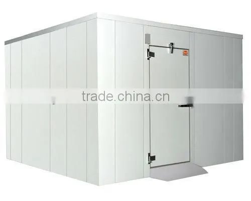 walk-in hinge cold room doors from Jinan China