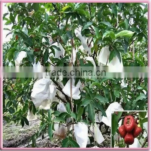 Non-woven polyester mat