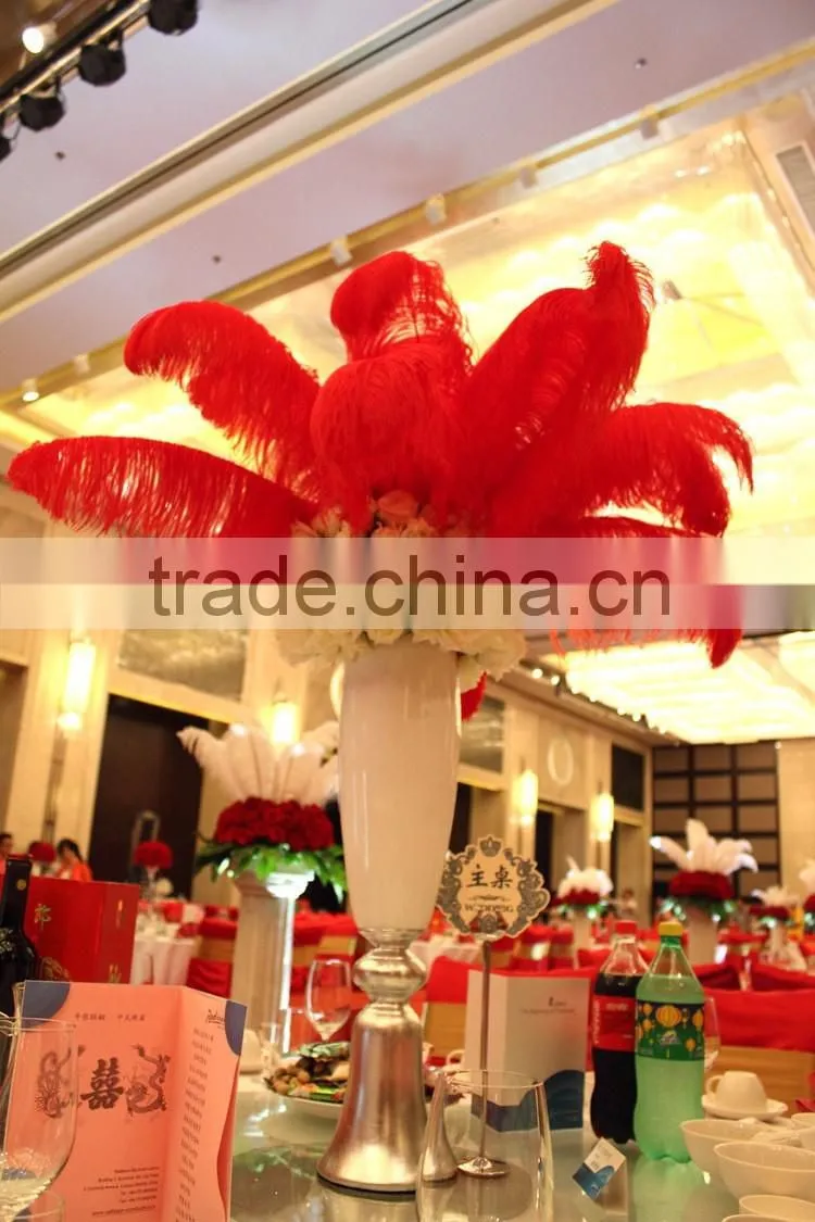 Dyed Ostric Feather, Feather ostric plumes for Carnival costumes