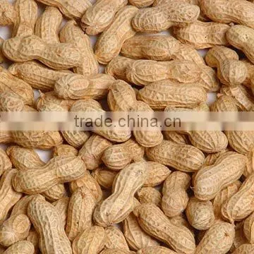 fried and salted roasted peanuts