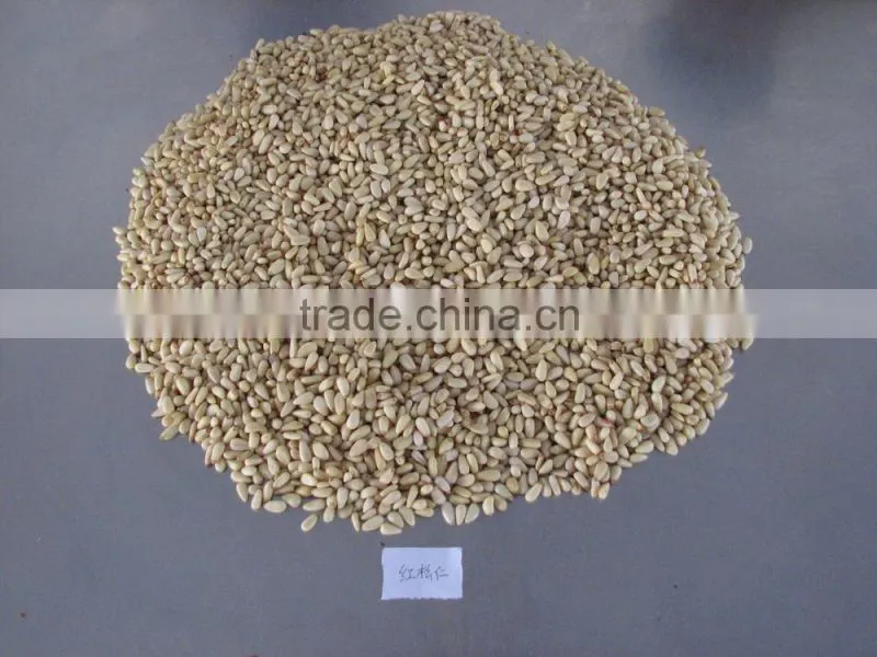 Chinese Pine Nut Kernels small bags