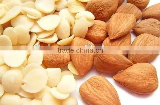 High Efficiency Walnut Slicing Machine; Walnut Kernel Slicing Machine