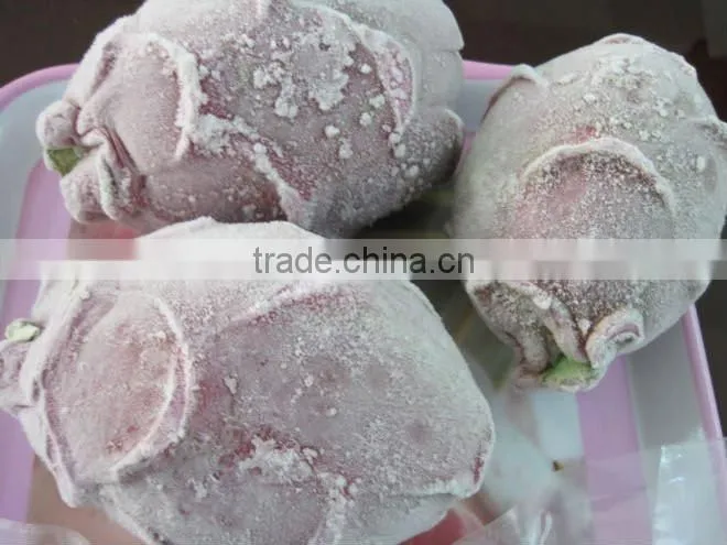 HIGH QUALITY FROZEN DRAGON FRUIT