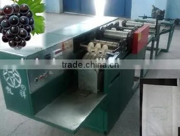 industrial fruit protective bag maker for sale